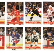 NHL Team Leader 1991/92   /202/